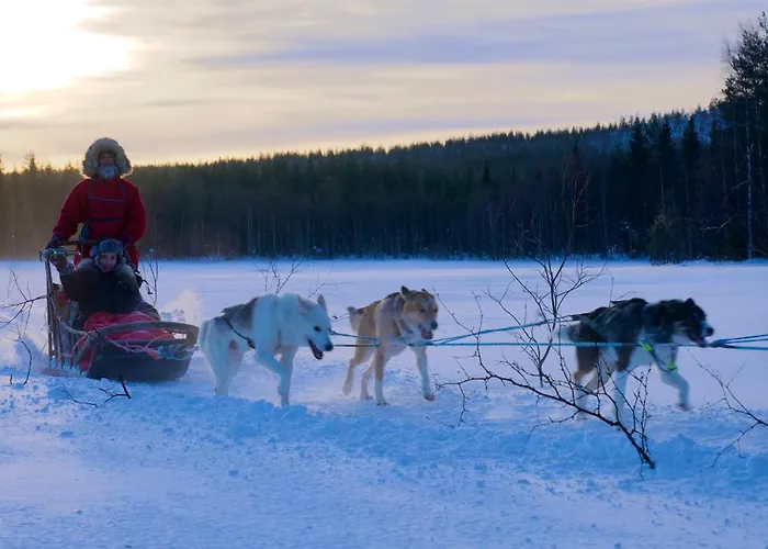 Majestic 3 Bedroom With Sauna